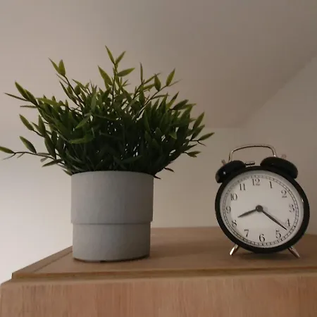 Apartment 4 